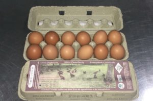 Ovos Extra Grandes Orgânicos (Dúzia)
